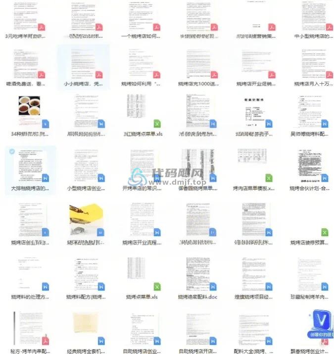 图片[2]-【某宝26.1元】烧烤店全套资料合集，含配料配方、技巧、规划、文案等合集，电子档-代码飓风