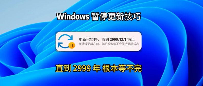 【131】Windows暂停更新2999年，时间久的，根本等不到！-代码飓风