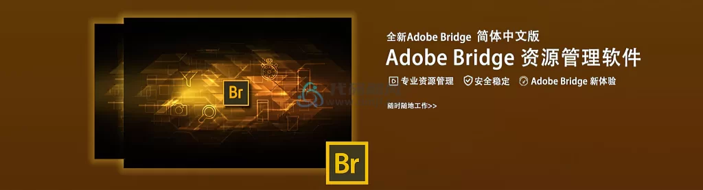 图片[1]-Adobe Bridge 全版本-代码飓风